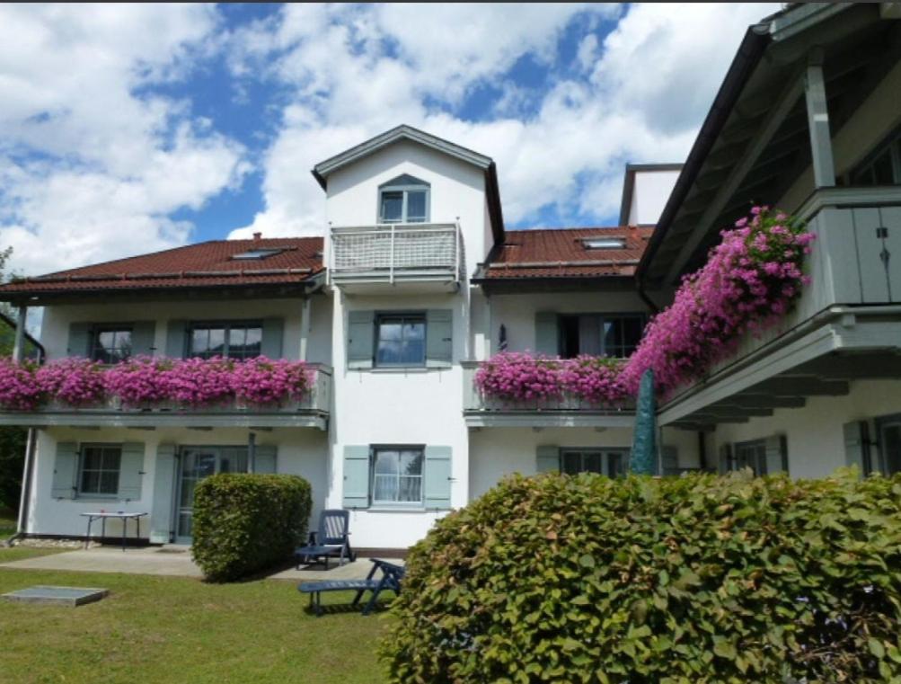 Ferienwohnanlage Bruennstein Wohnung 54 اوبرودورف المظهر الخارجي الصورة